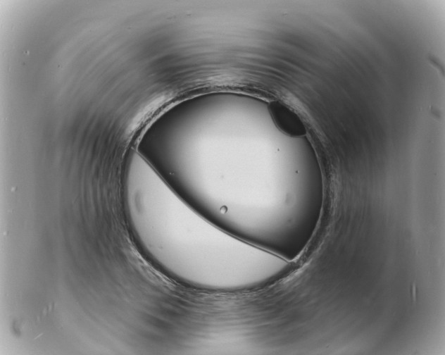 X0000103300930200808291127