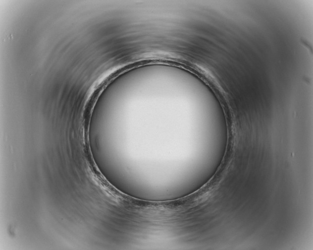 X0000103300931200808291127
