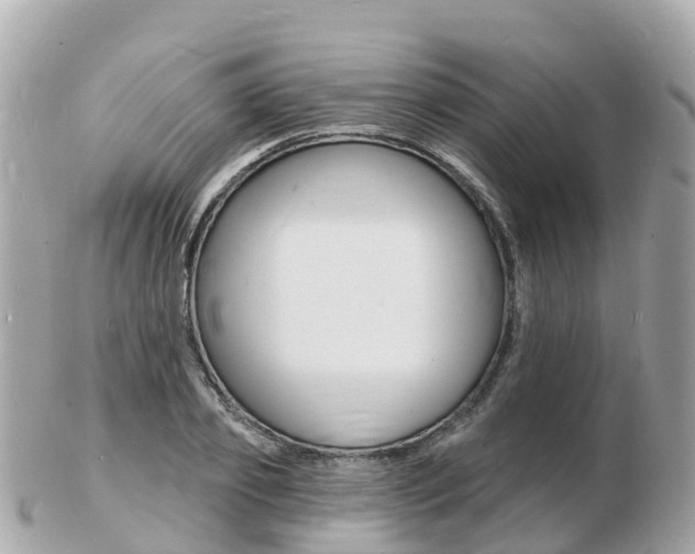 X0000103300933200808291127