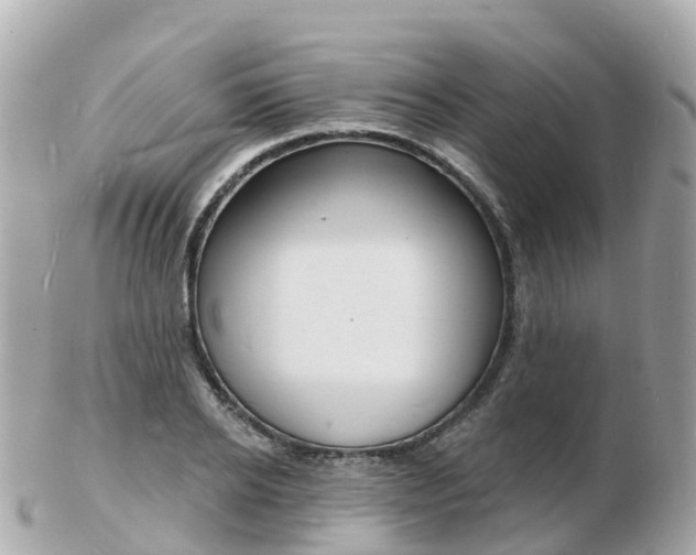 X0000103300934200808291127