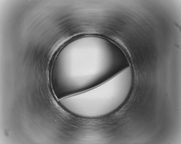X0000103300935200808291127
