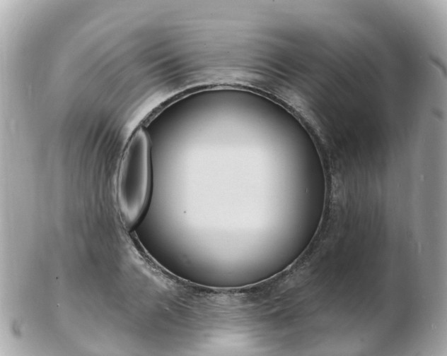 X0000103300936200808291127