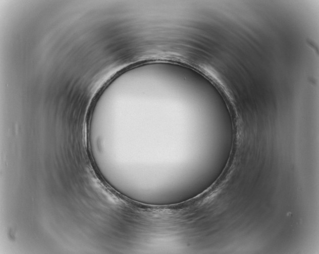 X0000103300940200808291127