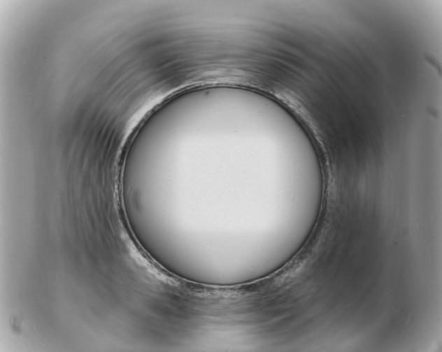 X0000103300941200808291127