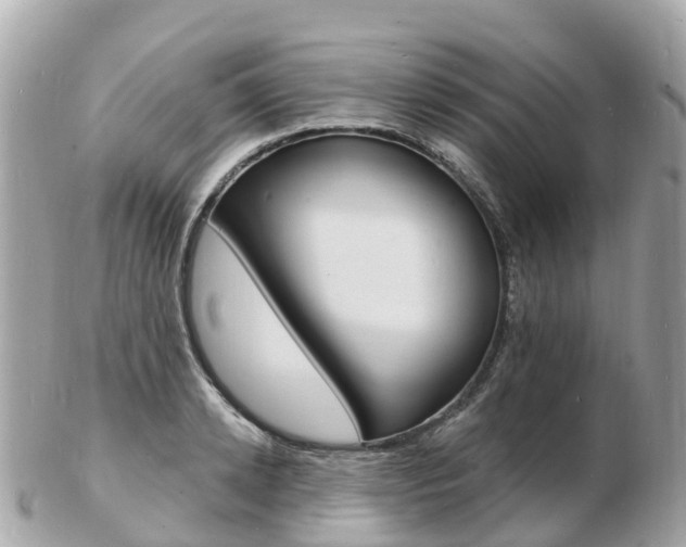 X0000103300942200808291127