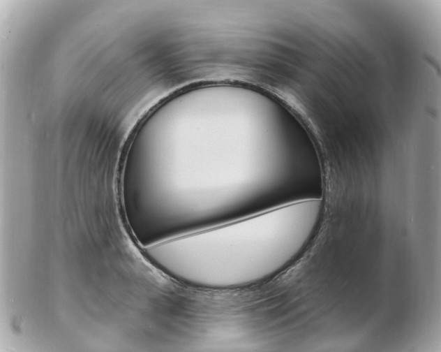 X0000103300943200808291127