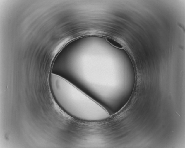 X0000103300946200808291127