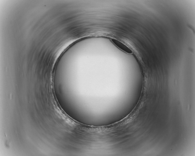 X0000103300948200808291127