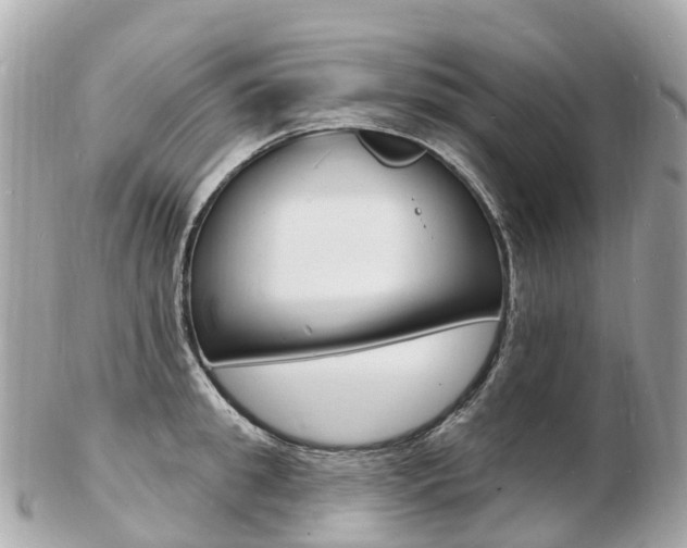 X0000103300949200808291127