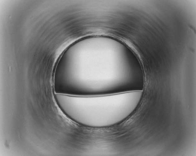 X0000103300951200808291127