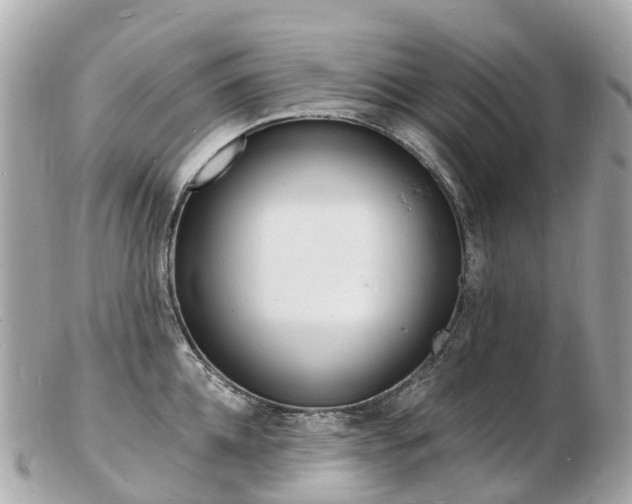 X0000103300952200808291127