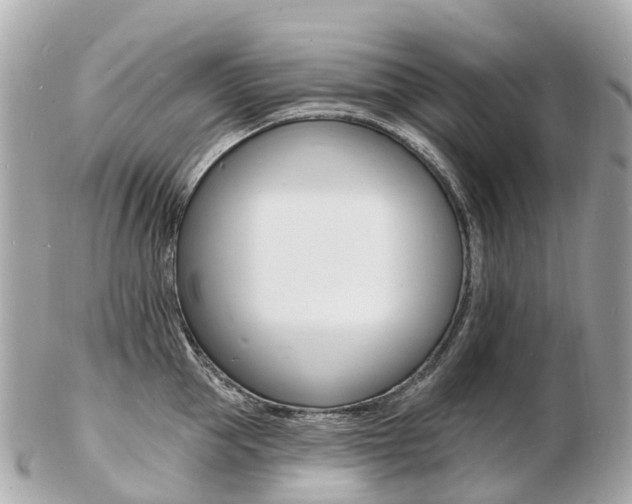 X0000103300953200808291127