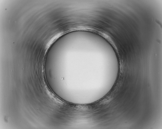 X0000103300954200808291127