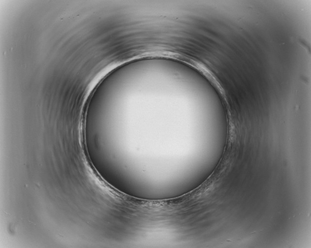 X0000103300955200808291127