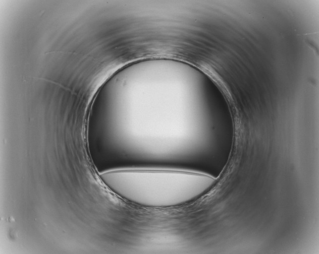 X0000103300956200808291127
