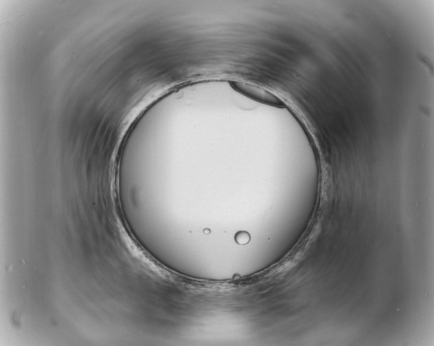 X0000103300957200808291127