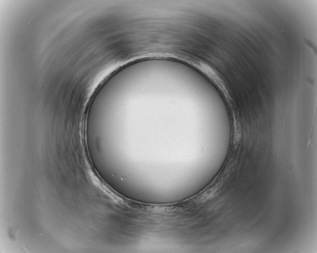 X0000103300958200808291127
