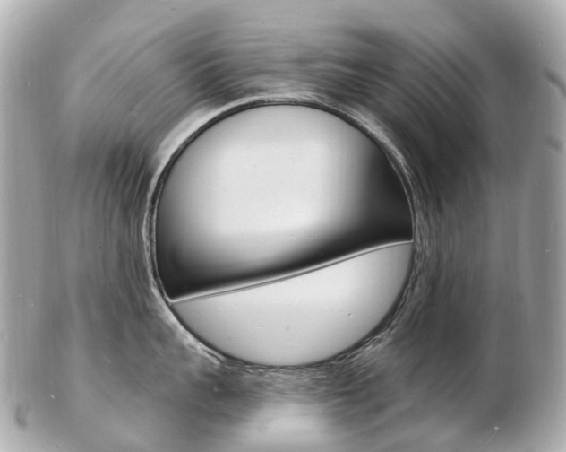 X0000103300959200808291127