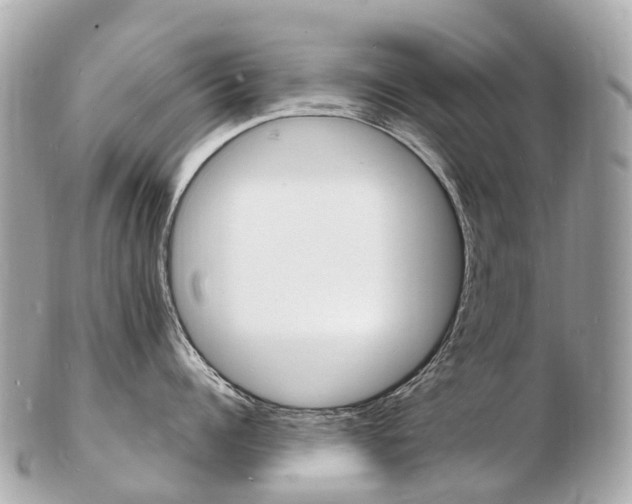 X0000103300960200808291127