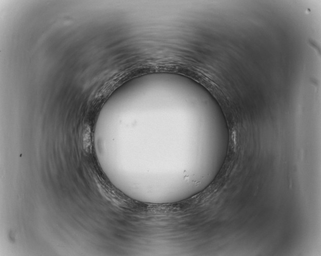 X0000103300963200808291127