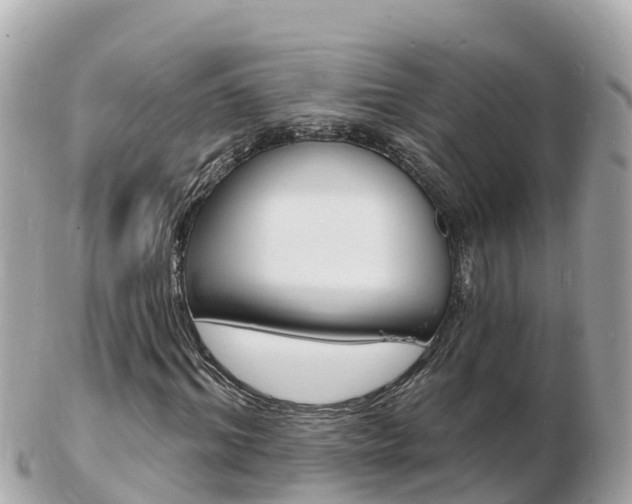 X0000103300964200808291127