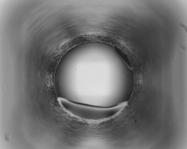 X0000103300965200808291127