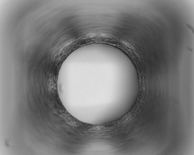 X0000103300966200808291127