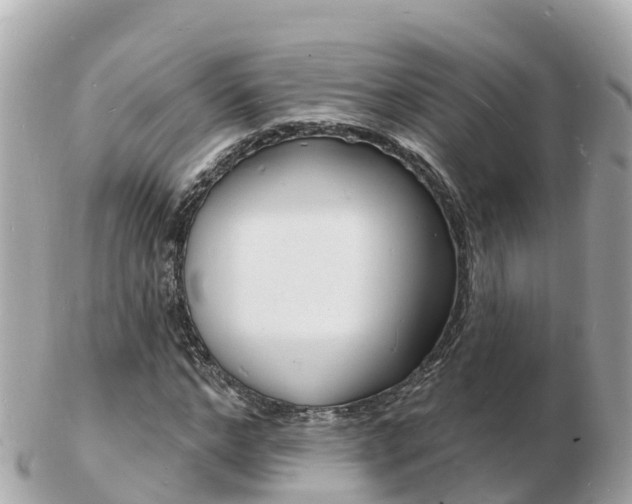 X0000103300968200808291127