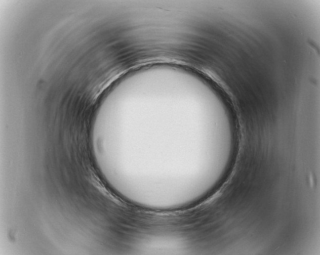 X0000103300969200808291127