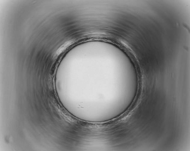 X0000103300970200808291127