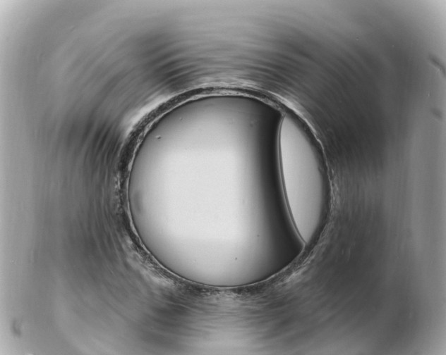 X0000103300971200808291127
