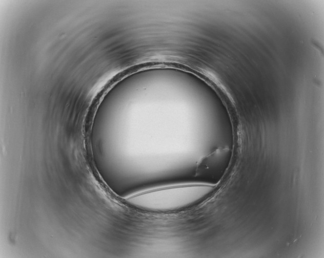 X0000103300972200808291127