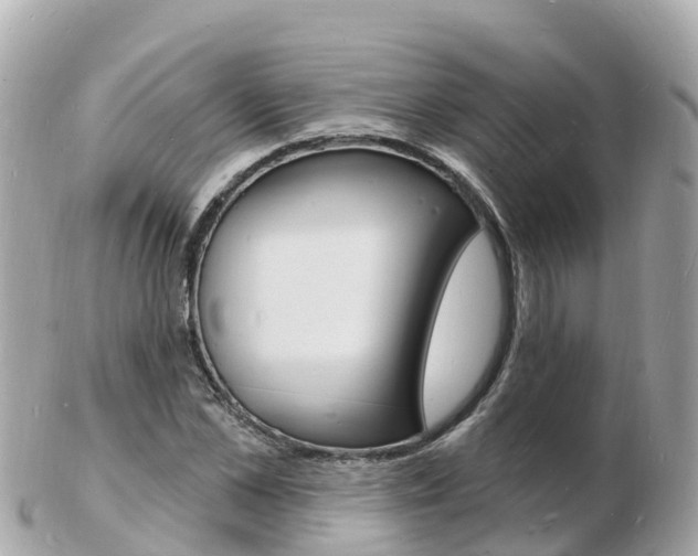 X0000103300973200808291127