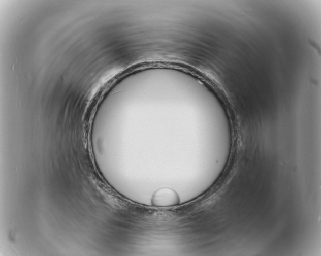 X0000103300974200808291127