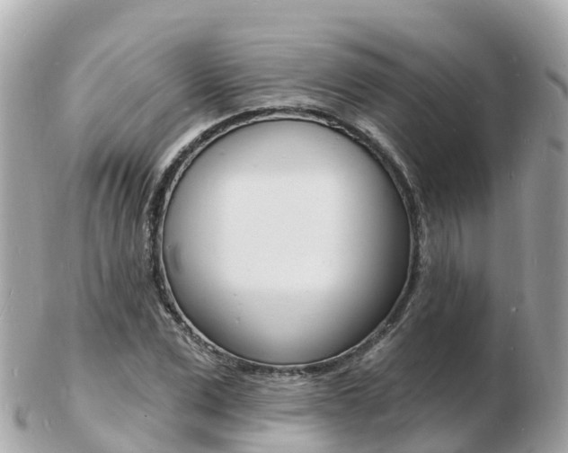 X0000103300975200808291127