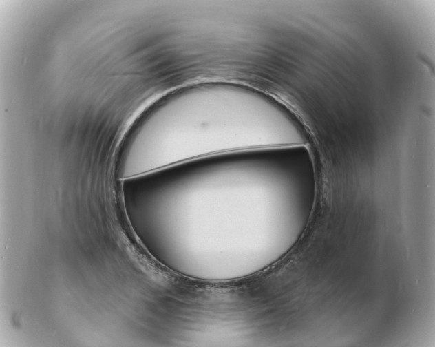 X0000103300976200808291127
