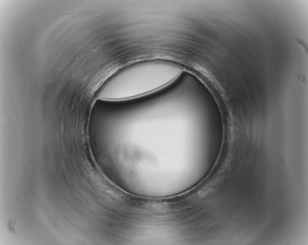 X0000103300977200808291127