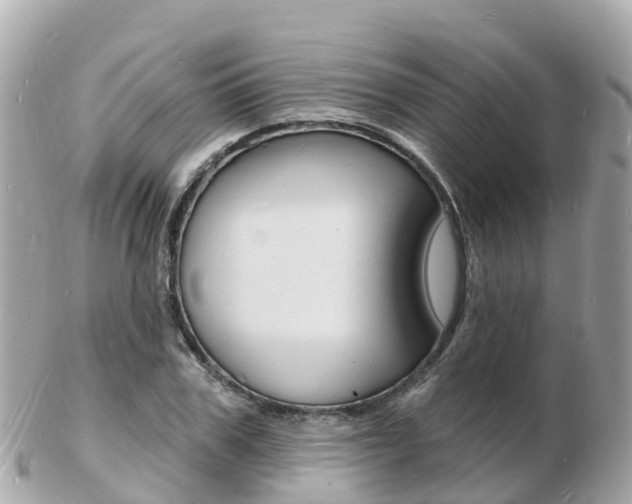 X0000103300979200808291127