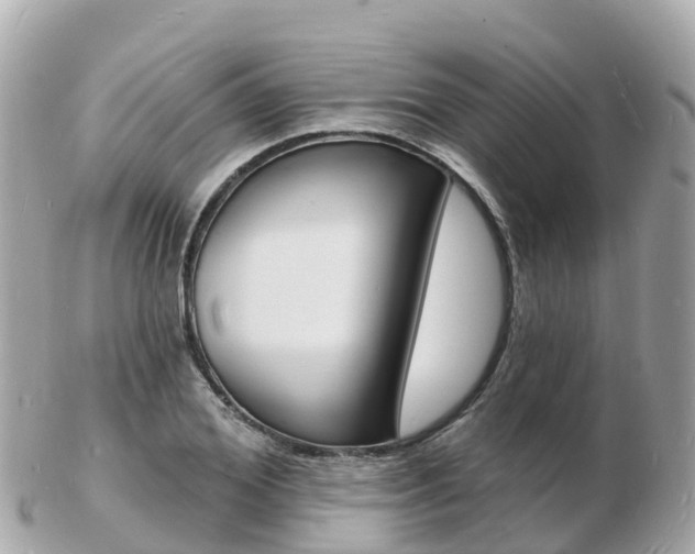 X0000103300980200808291127