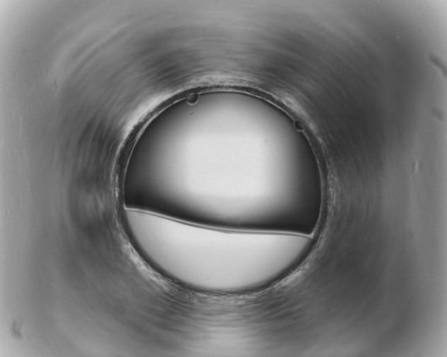 X0000103300981200808291127