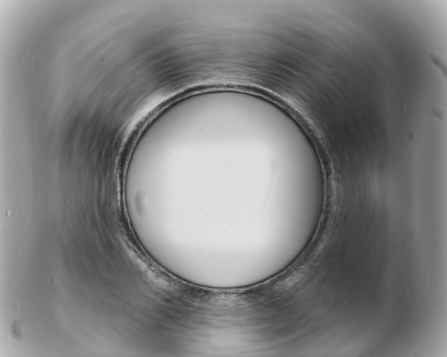 X0000103300982200808291127
