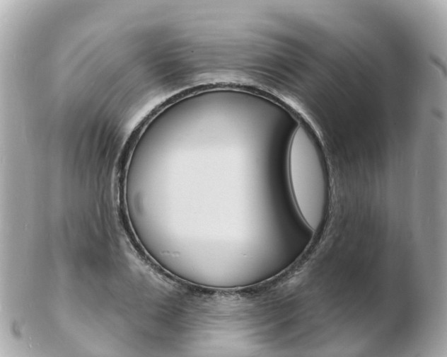X0000103300983200808291127