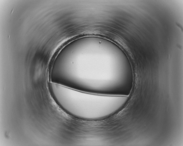 X0000103300984200808291127