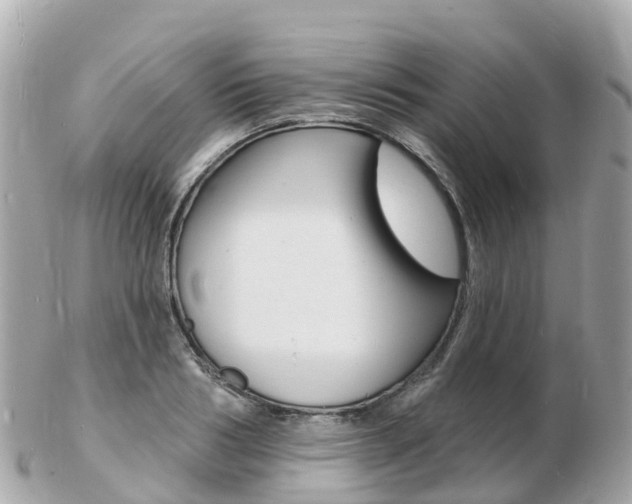 X0000103300986200808291126