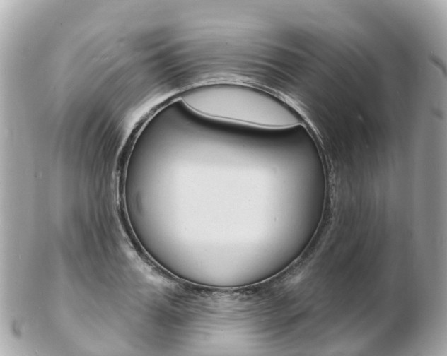 X0000103300987200808291126