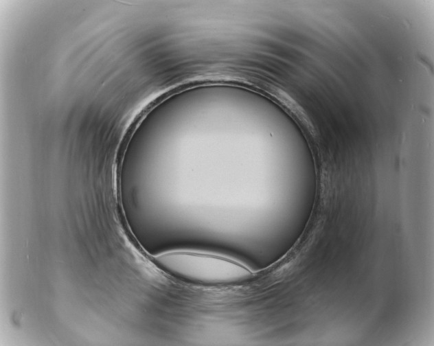 X0000103300988200808291126