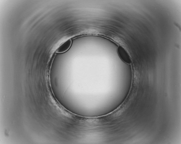 X0000103300989200808291126