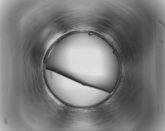 X0000103300990200808291126