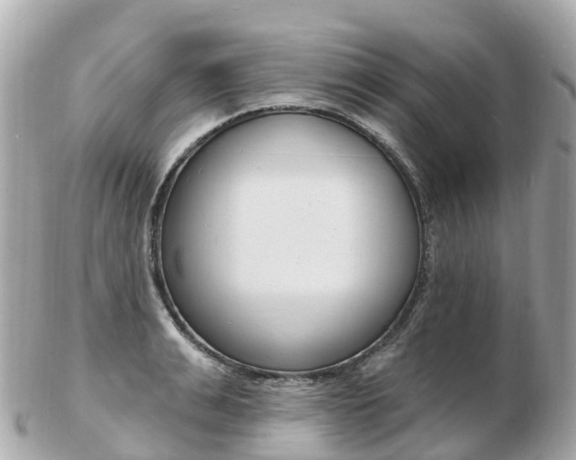 X0000103300991200808291126