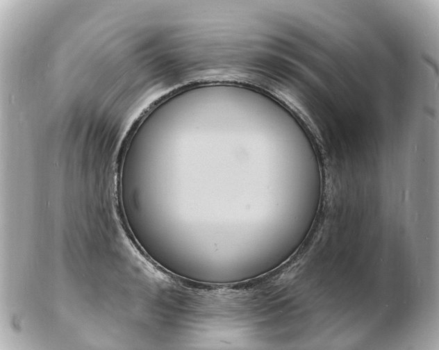 X0000103300992200808291126